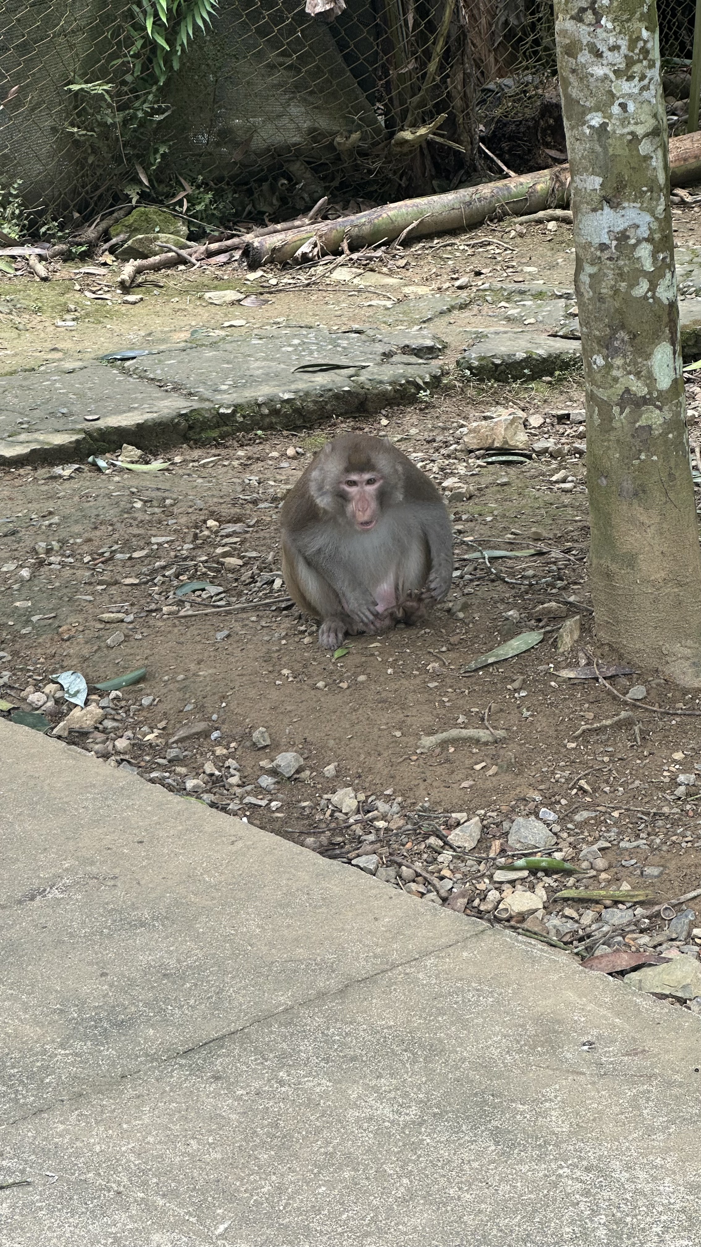 Travelers learning about animal welfare at the Ninh Binh Bear Sanctuary